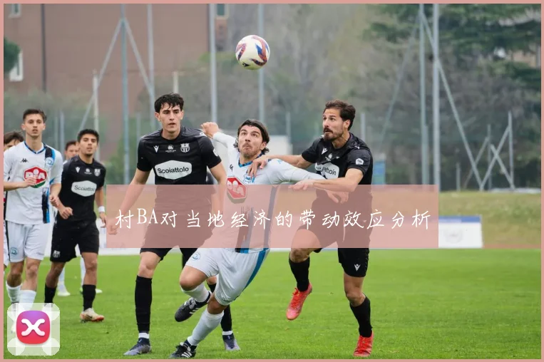 村BA对当地经济的带动效应分析