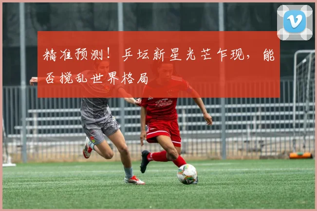 精准预测！乒坛新星光芒乍现，能否搅乱世界格局